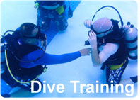 Dive Training