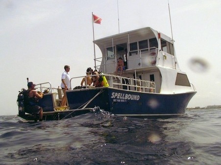 Drift Diver Course Photo