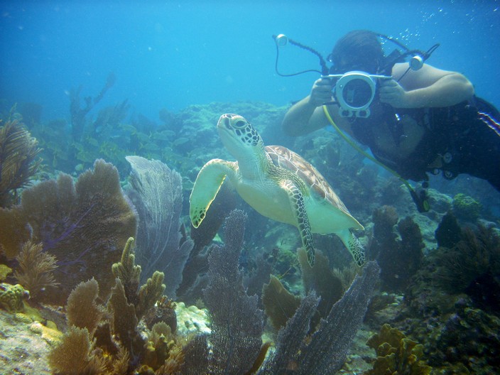 Underwater Videographer Photo