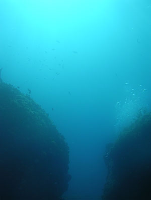 Deep Diver Photo