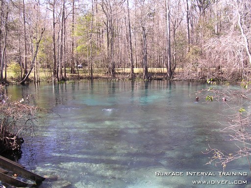 Ginnie Springs - Ballroom Basin