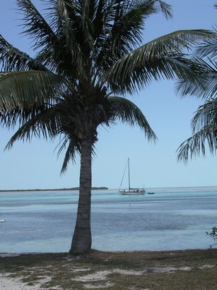 Bimini Bay Photo