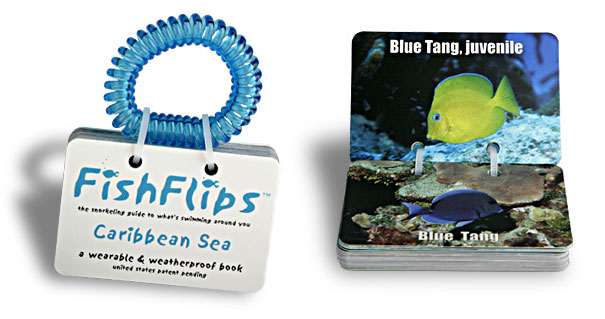 FishFlips Fish Identification Cards